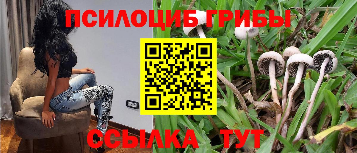 Псилоцибиновые грибы Cubensis  Вход с VPN  Верхняя Салда 