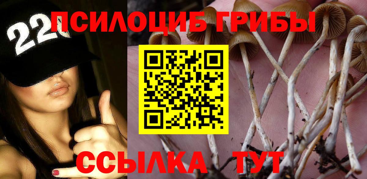 Псилоцибиновые грибы прущие грибы Верхняя Салда